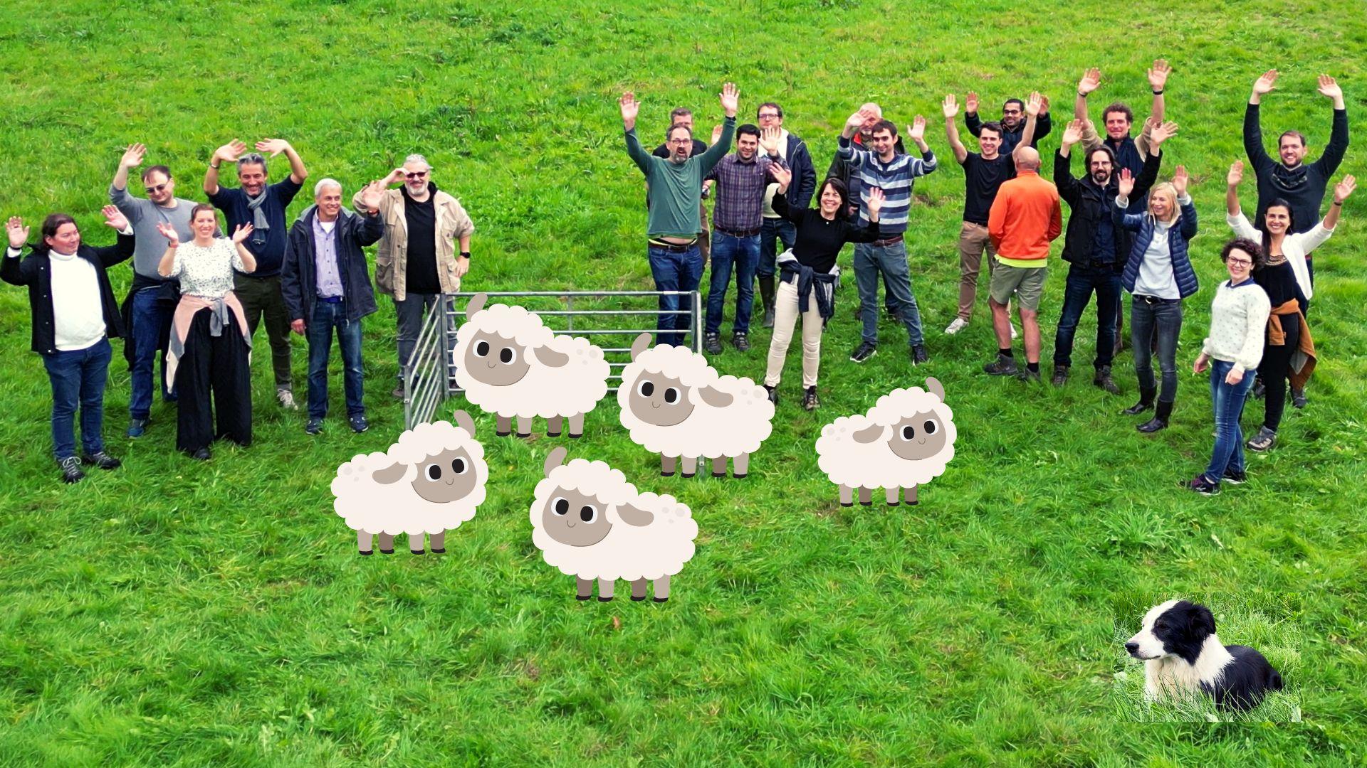 Team Building in Belgium 2022
